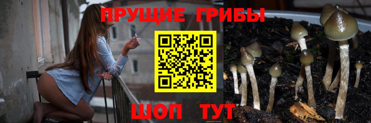 Псилоцибиновые грибы мухоморы Азнакаево